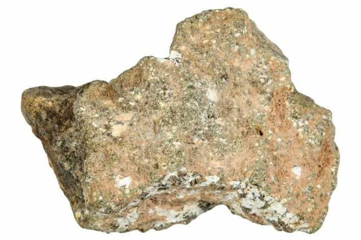 Howardite Meteorite ( g) - Bechar #286982